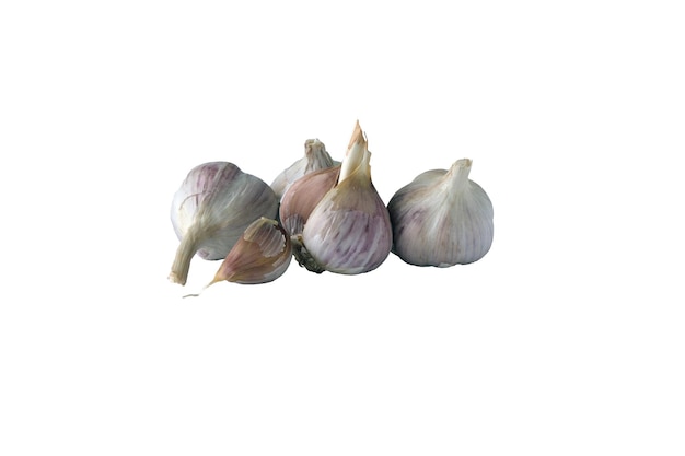 Shadowless image of garlic on a white background