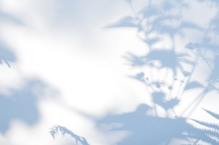 Photo 白い半透明の布に花の影