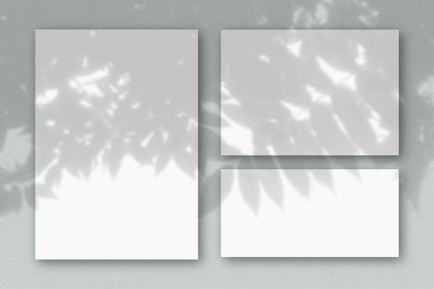 白いテクスチャ紙のいくつかの水平および垂直シート上のエキゾチックな植物からの影
