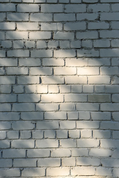 Shadows from foliage on a brick wall 2