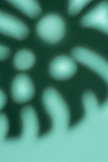 Photo shadows from monstera leaves