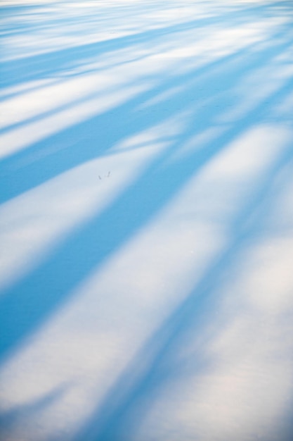 写真 凍った湖に映る木々の影