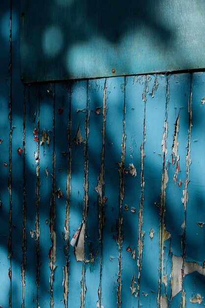 Shadows on an old door with peeling paint