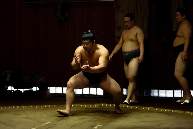 Shadows of Strength Sumo Wrestlers Face Off in Low Key Training