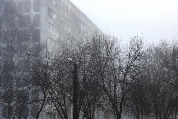 Shadows of tree branches on background of house in fog