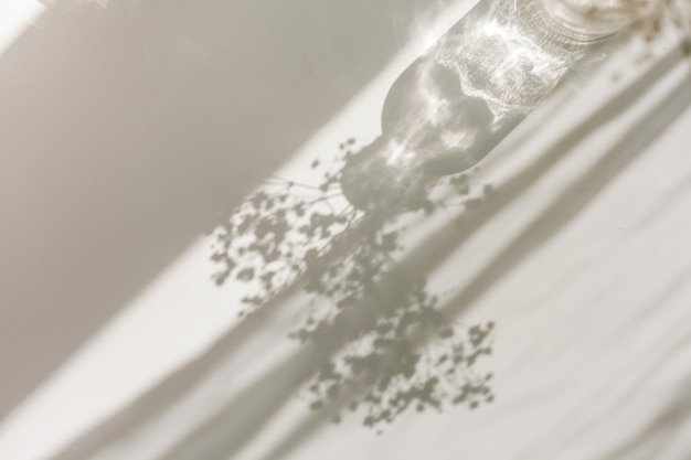 Photo shadows on a white background from a glass and flowers. dried flowers in a glass vase in the rays of light. home.