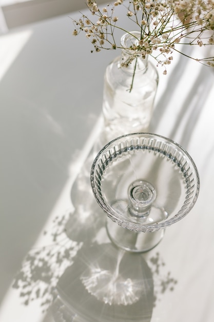 Shadows on a white background from a glass and flowers. Dried flowers in a glass vase in the rays of light. Home.