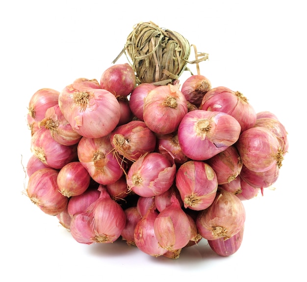 Shallot onions in a group isolated