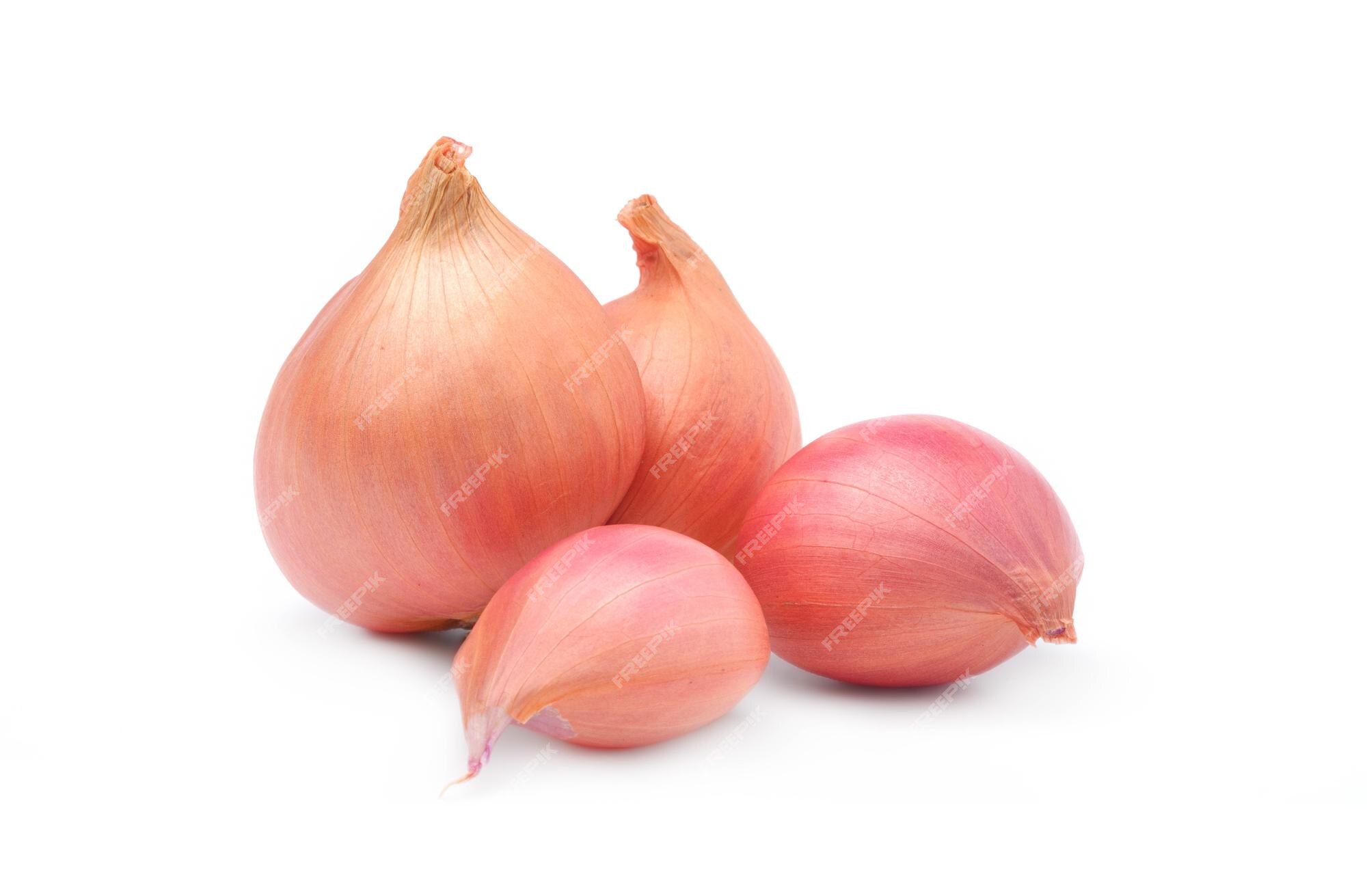 red onion or Shallots. shallots on wooden plate with . Selected focus.  Concept of spices in healthy cooking 10204956 Stock Photo at Vecteezy