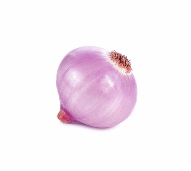 Shallot red isolated on white