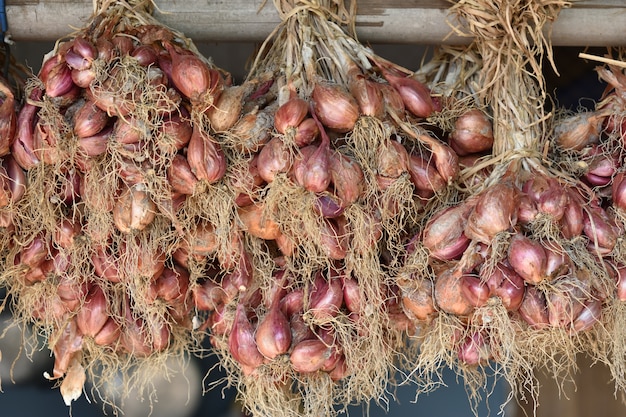 shallots hang on bamboo