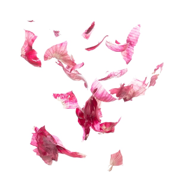 Shallots peel off fall fly in mid air red fresh vegetable spice shallots peel off floating Organic fresh herbal shallots peels White background isolated freeze motion high speed shutter