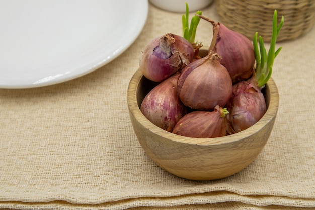 Shallots with sapling sprouted in a white dish