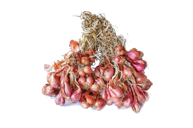 Shallots