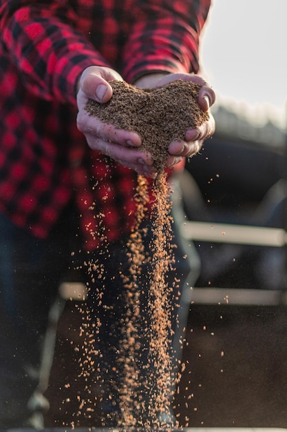 Shallow focus of an Organic composted soil in hands at a farm