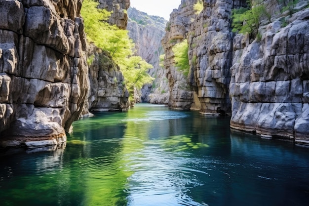 A shallow river through a rocky canyon