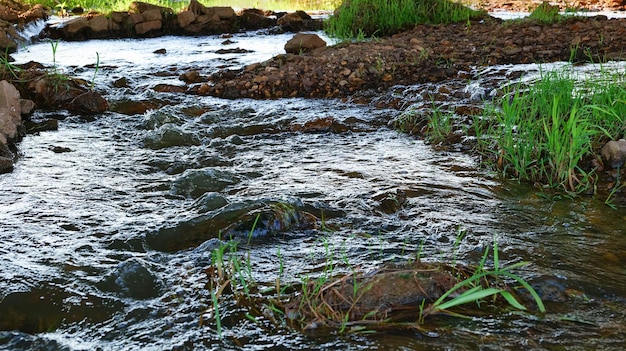 Shallow river water stream with rocks.