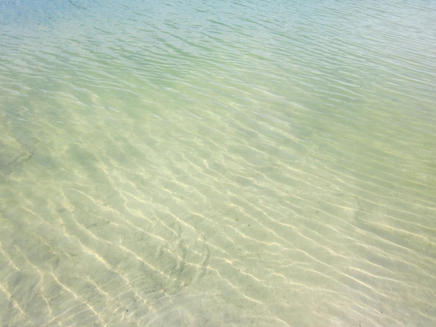 녹색 노란색 톤의 반투명 깨끗한 모래가 있는 해변의 얕은 파도 투명한 반사와 그림자가 있는 파도의 물결