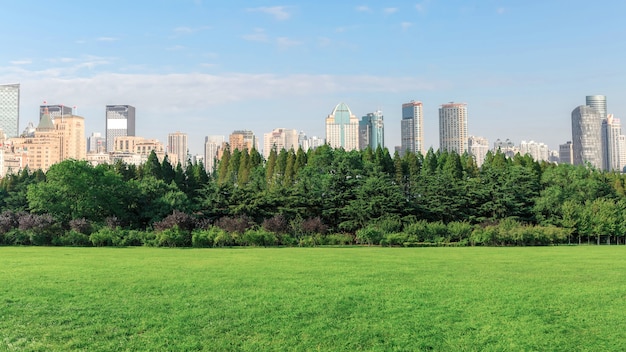 上海外灘と公園の森