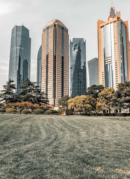 Shanghai stad