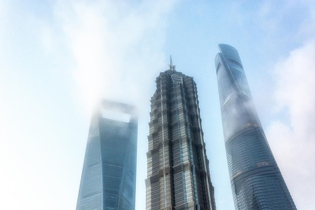 Shanghai tower world financial center and jin mao tower in
shanghai these are the tallest buildings in shanghai