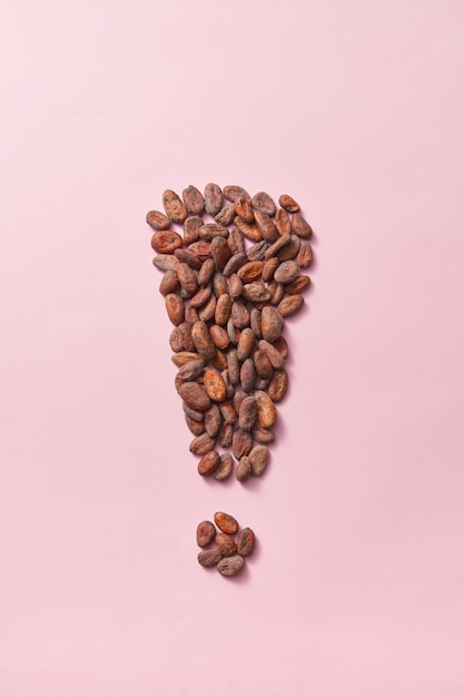 Shape of exclamation point made from natural organic dry cocoa beans on a light pink background with copy space. Effect of improved human brain activity from chocolate.