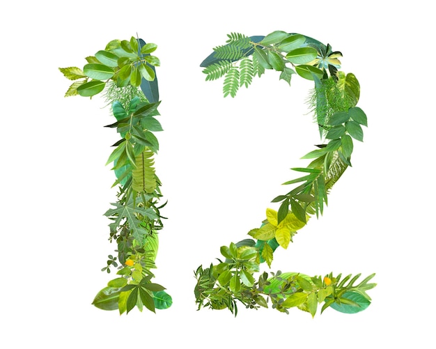 Photo the shape of the number 12 is made of various kinds of leaves isolated on transparent background