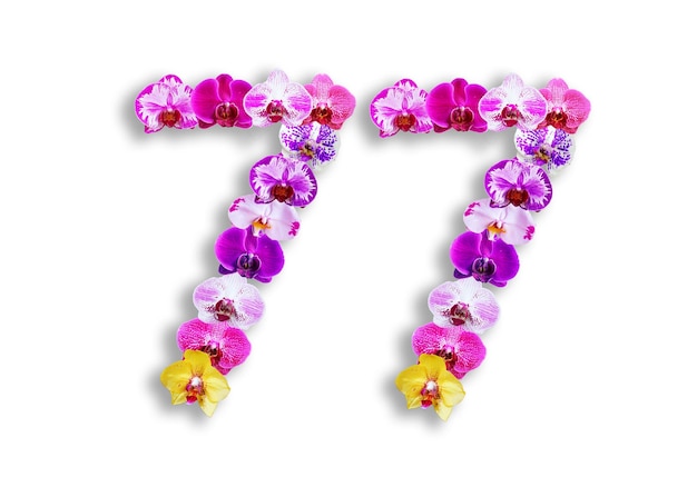 数字の 77 の形は、誕生日記念日や記念日のテンプレートに適したさまざまな種類の蘭の花で作られています