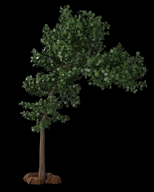 Shapes and green tree3D rendering