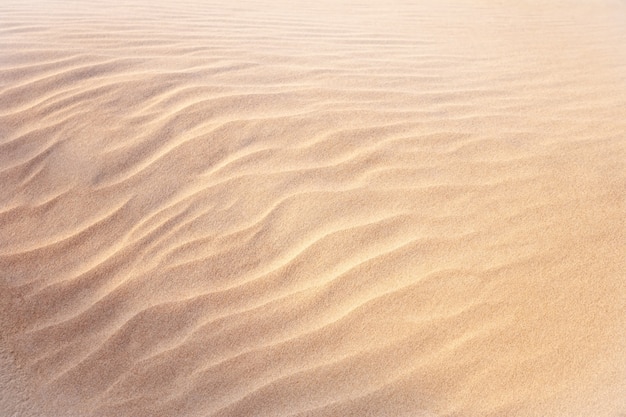 Shapes in the sand