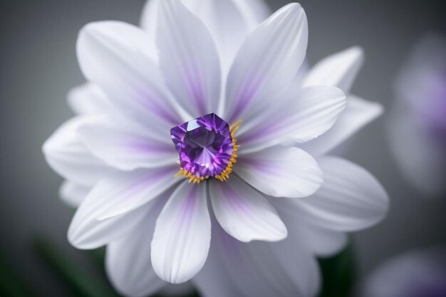 Foto il fiore di shapla è molto bello