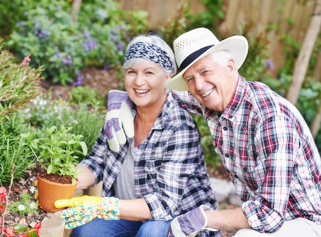 사진 정원 가꾸기에 대한 사랑 나누기 행복한 노부부는 뒷마당에서 정원 가꾸기에 바쁘다