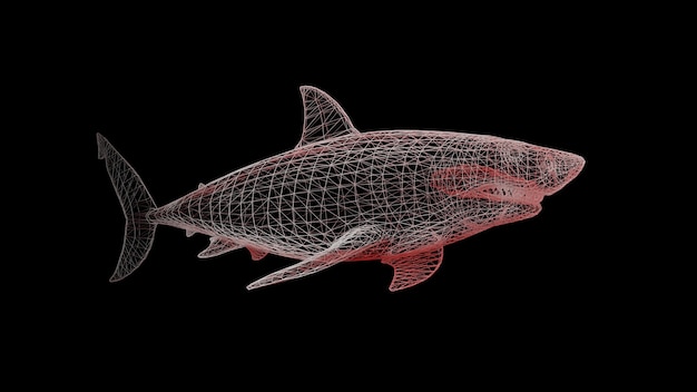 A shark on a black uniform background. Constructor of polygonal elements. 3d rendering.