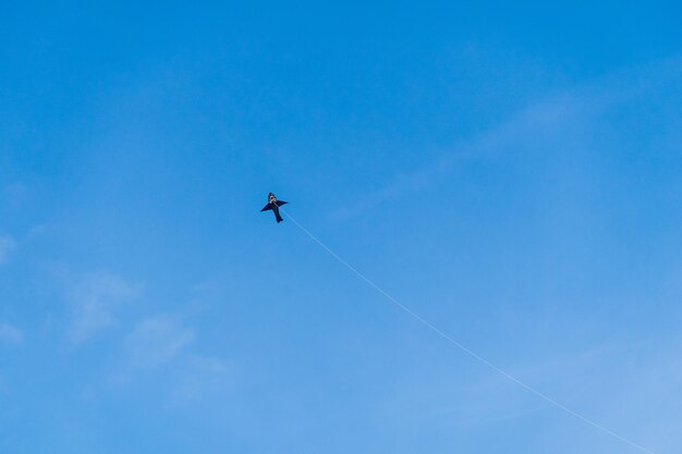 Shark kite is flying in the sky on the move