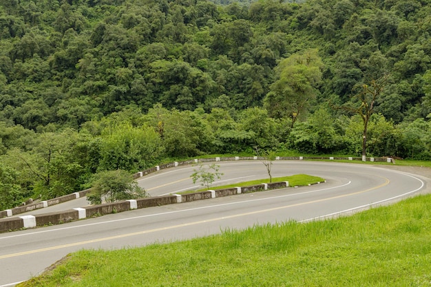 Sharp curve on a mountain route surrounded by vegetation