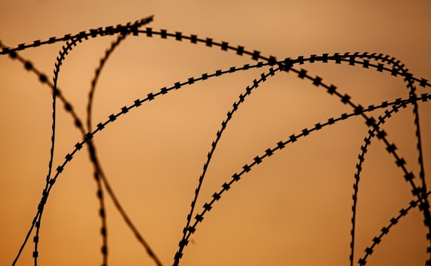 Sharp metal barbed wire at sunset processed in silhouette
style