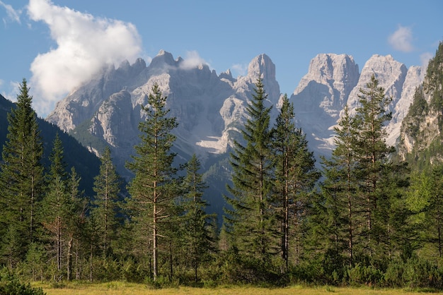 Sharp mountain peaks against the blue morning sky Green firs in the foreground Walking in the fresh air brings joy The greatness of nature Tourist routes