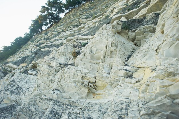 Sharp rocks they grow pine trees and blue sky