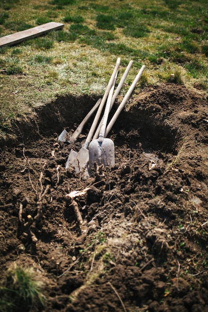 Photo sharp shovels on cultivated farm field, landing lawn in spring