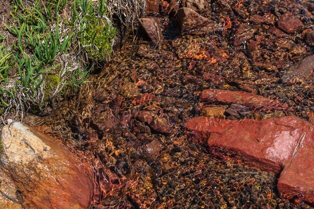 Фото Острый камень в прозрачном водотоке с разноцветным каменным дном на солнце красочный горный ручей с минеральной водой на ярком солнце живописный вид с вершины на освещенные солнцем многоцветные камни в источничной воде