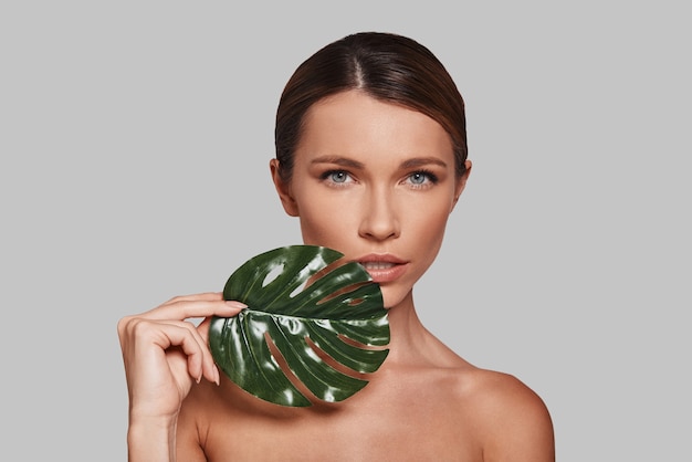 She is perfection. Attractive young woman looking at camera and covering with leaf while standing against grey background