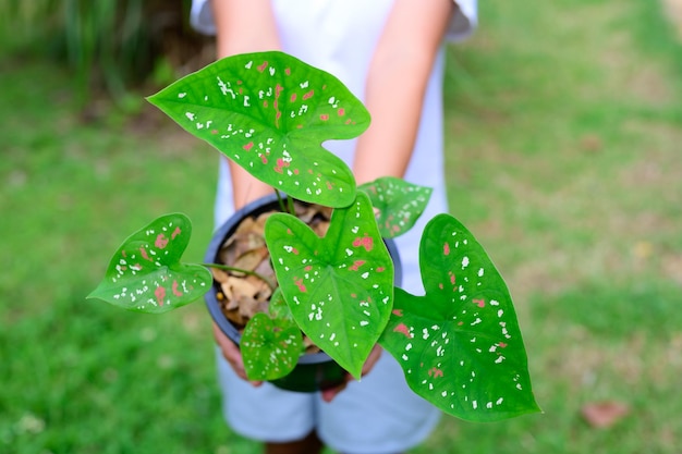 SHe picked up the seedling pot and looked at it. to check the integrity of the leaves and stems before posting them for sale on social media