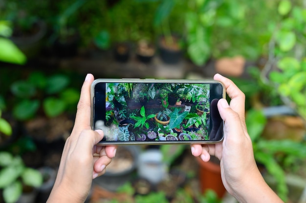 She was using his phone to take pictures of the plants to check the integrity. before posting for sale on social media