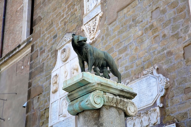 She-wolf suckling the twins a symbol of Rome - bronze sculpture, Capitoline Hill, Rome, Italy.