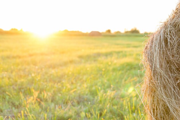 Sheaf of hay on the field at sunset