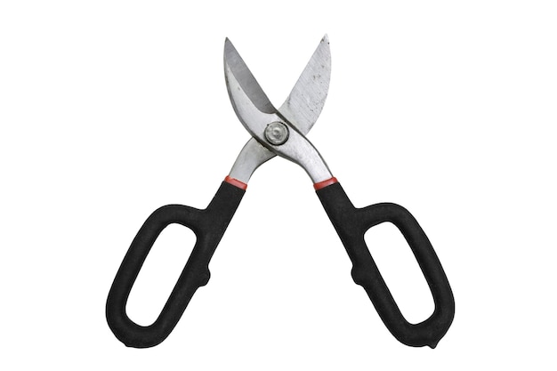 Shears on white background