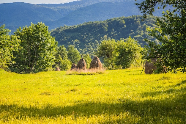 Sheaves of hay and fields in a ukrainian village in the carpathians in spring