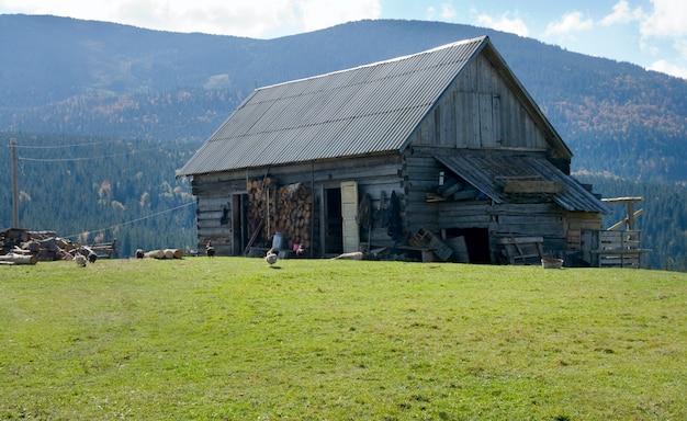 Shed on mountain plateau pasture. In opposite sunlight direction.