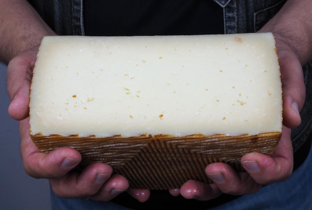 Sheep cheese Half a head of cheese in the hands of a man