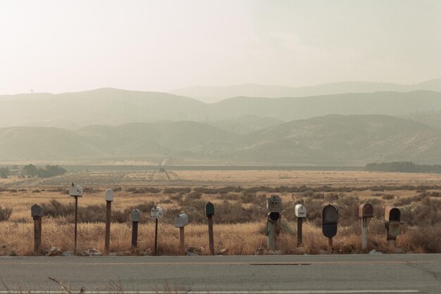 Photo sheep on road by field against sky